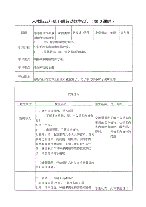 项目六种多肉植物装饰教室（教案）五年级劳动下册同步（人教版）.docx