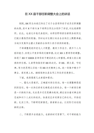 在XX县干部任职调整大会上的讲话.docx