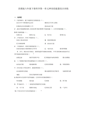 苏教版六年级下册科学第一单元神奇的能量综合训练.docx