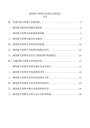 通用航空消费生态建设分析报告.docx