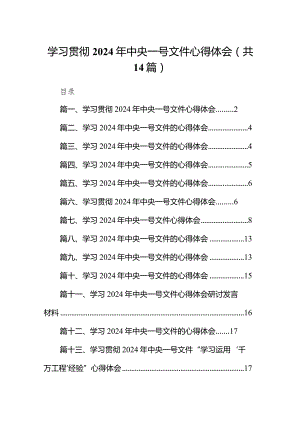 学习贯彻2024年中央一号文件心得体会范文14篇（详细版）.docx