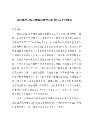 （2篇）政法委书记在市委政法委员会全体会议上的讲话.docx