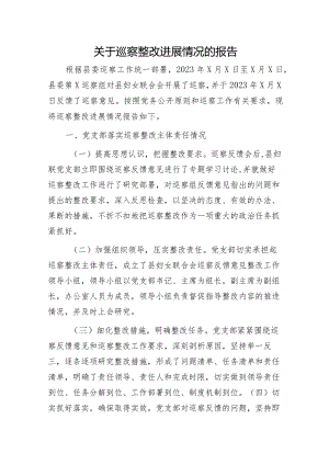 妇联巡察整改进展情况报告（7700字总结）.docx