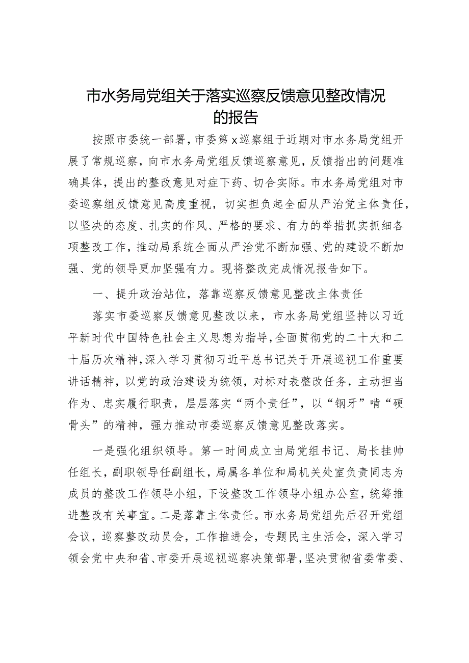 市水务局系统落实巡察反馈意见整改情况的报告（2000字总结）.docx_第1页