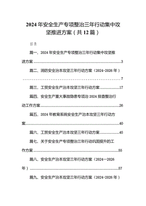 2024年安全生产专项整治三年行动集中攻坚推进方案（共12篇）.docx