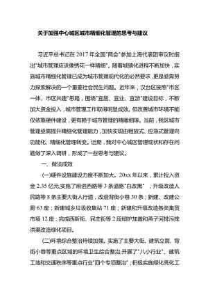 关于加强中心城区城市精细化管理的思考与建议.docx