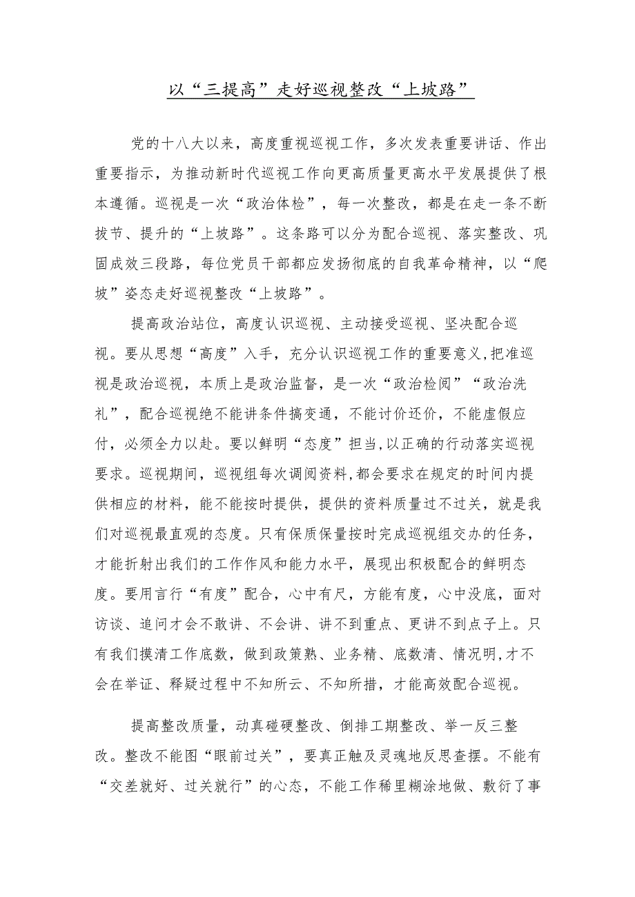 （十篇合集）巡视巡察总结会上的研讨发言提纲.docx_第2页