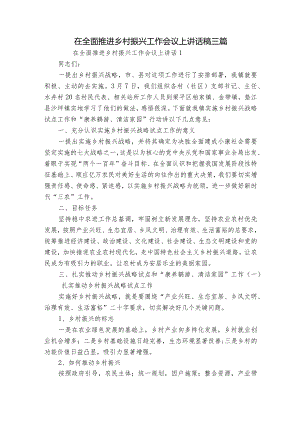 在全面推进乡村振兴工作会议上讲话稿三篇.docx