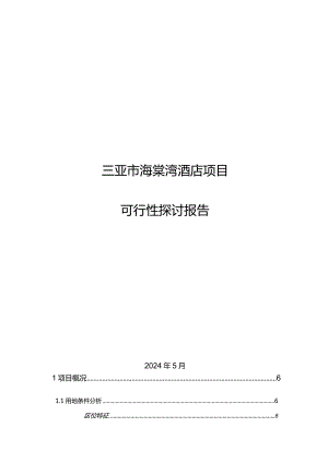 2024年5月三亚市海棠湾酒店项目可行性研究报告.docx