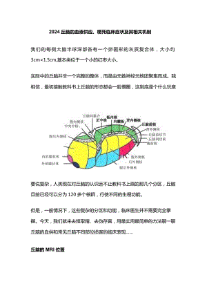 2024丘脑的血液供应、梗死临床症状及其相关机制.docx