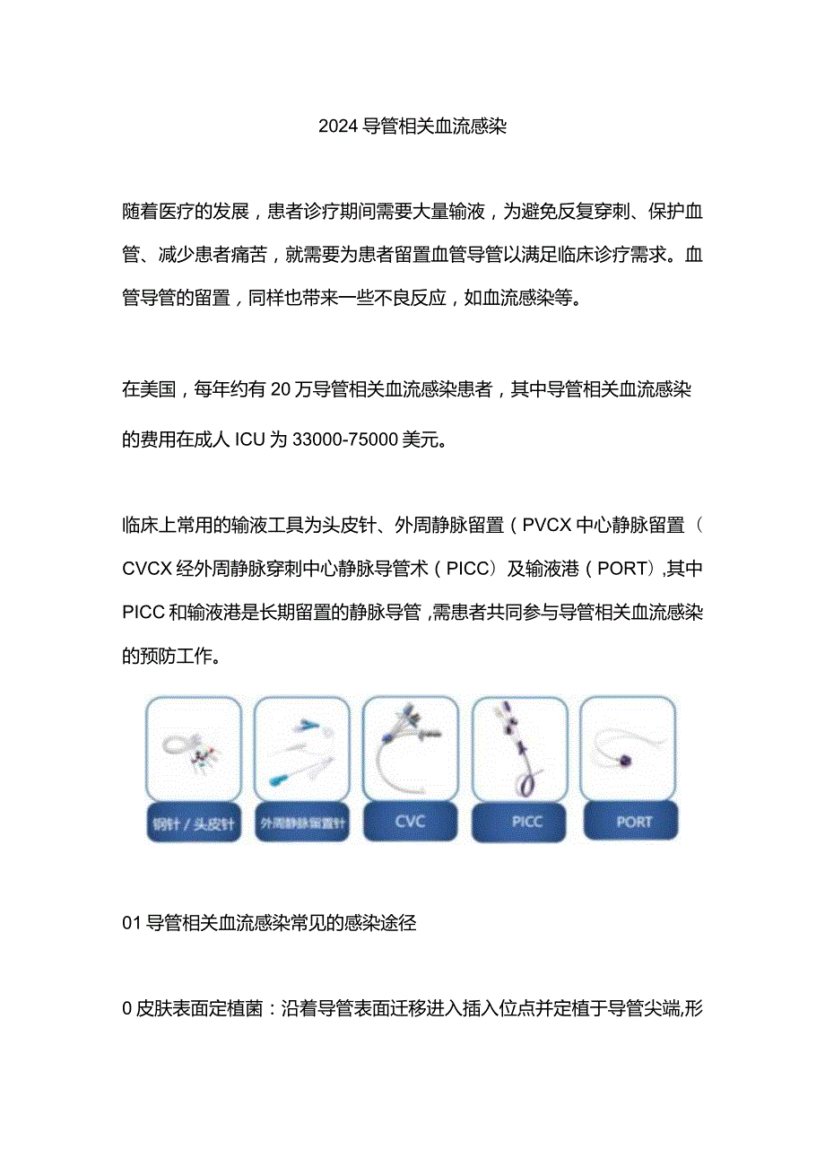 2024导管相关血流感染.docx_第1页