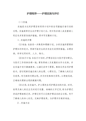 护理程序——护理实施与评价.docx