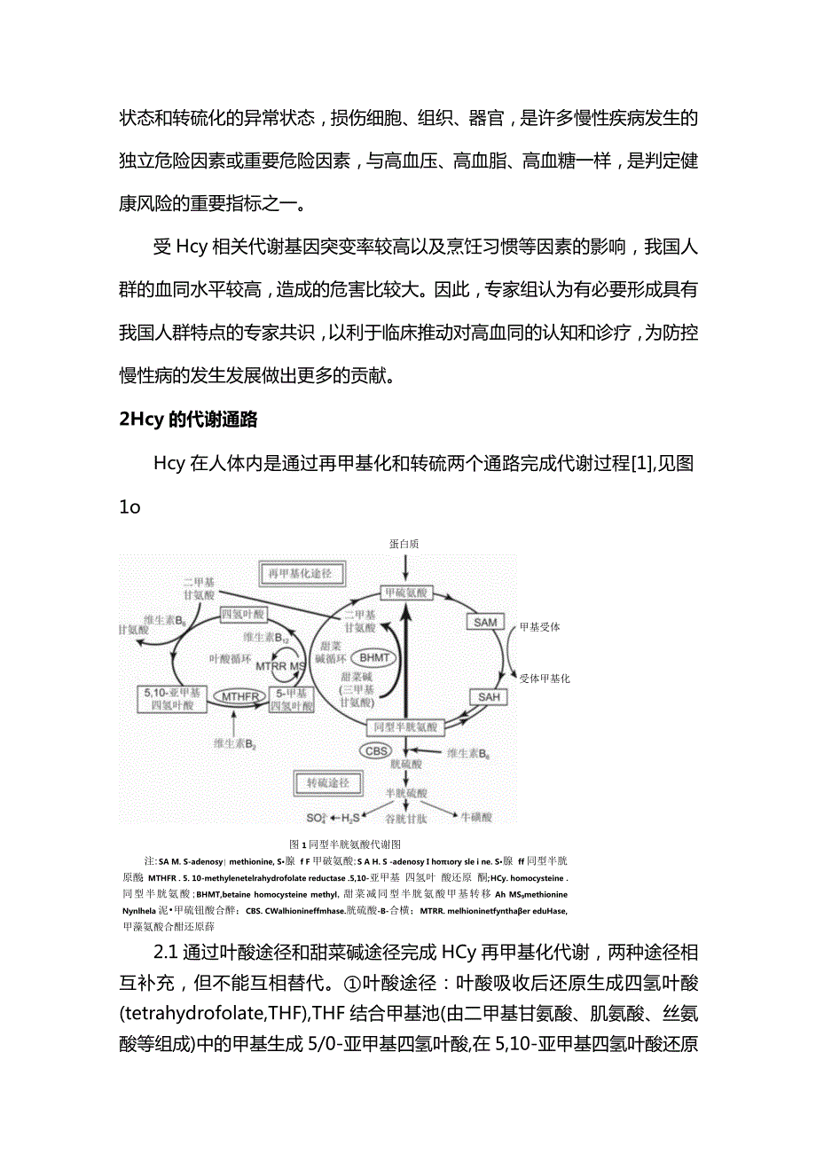 最新：高同型半胱氨酸血症诊疗专家共识1.docx_第2页