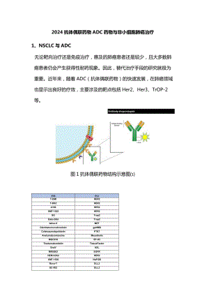 2024抗体偶联药物ADC药物与非小细胞肺癌治疗.docx