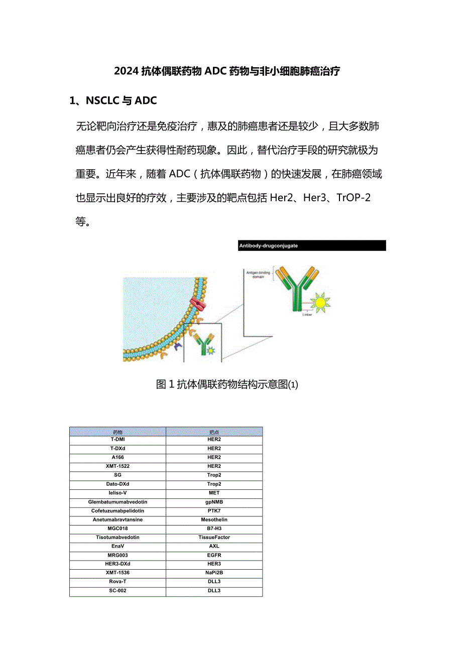 2024抗体偶联药物ADC药物与非小细胞肺癌治疗.docx_第1页