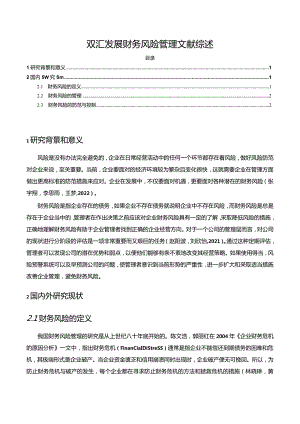 【《关于双汇发展企业财务风险管理文献综述2300字】.docx