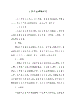 女性生殖系统解剖.docx