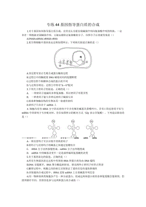 专练44基因指导蛋白质的合成.docx