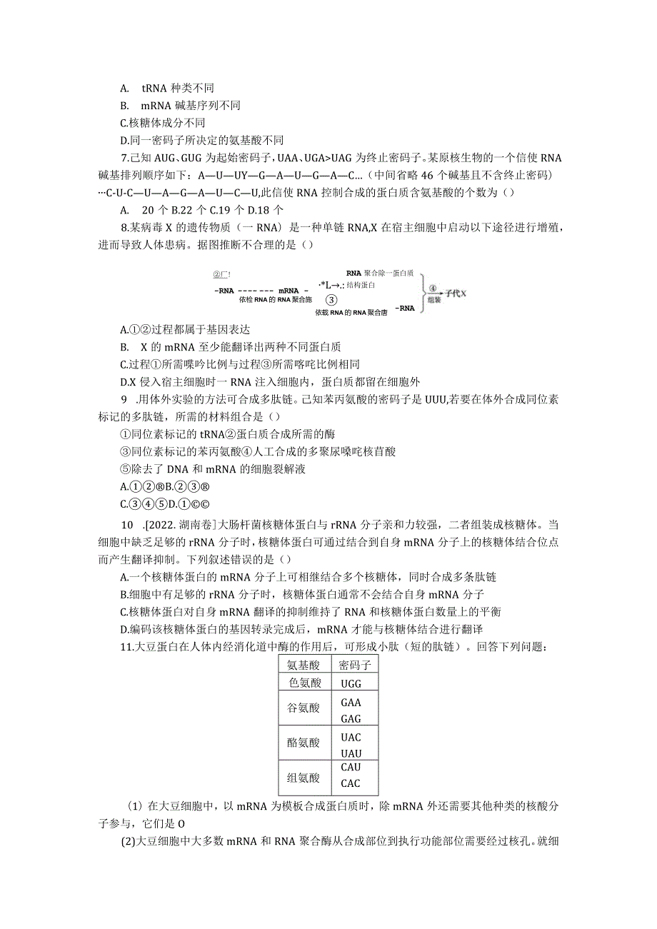 专练44基因指导蛋白质的合成.docx_第2页