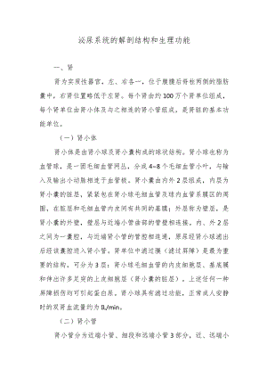 泌尿系统的解剖结构和生理功能.docx