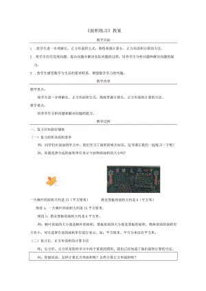 《面积练习》教案.docx