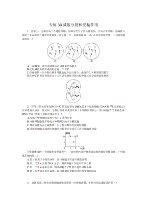 专练36减数分裂和受精作用.docx