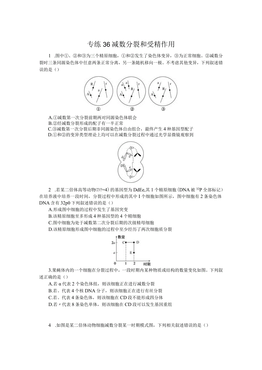 专练36减数分裂和受精作用.docx_第1页