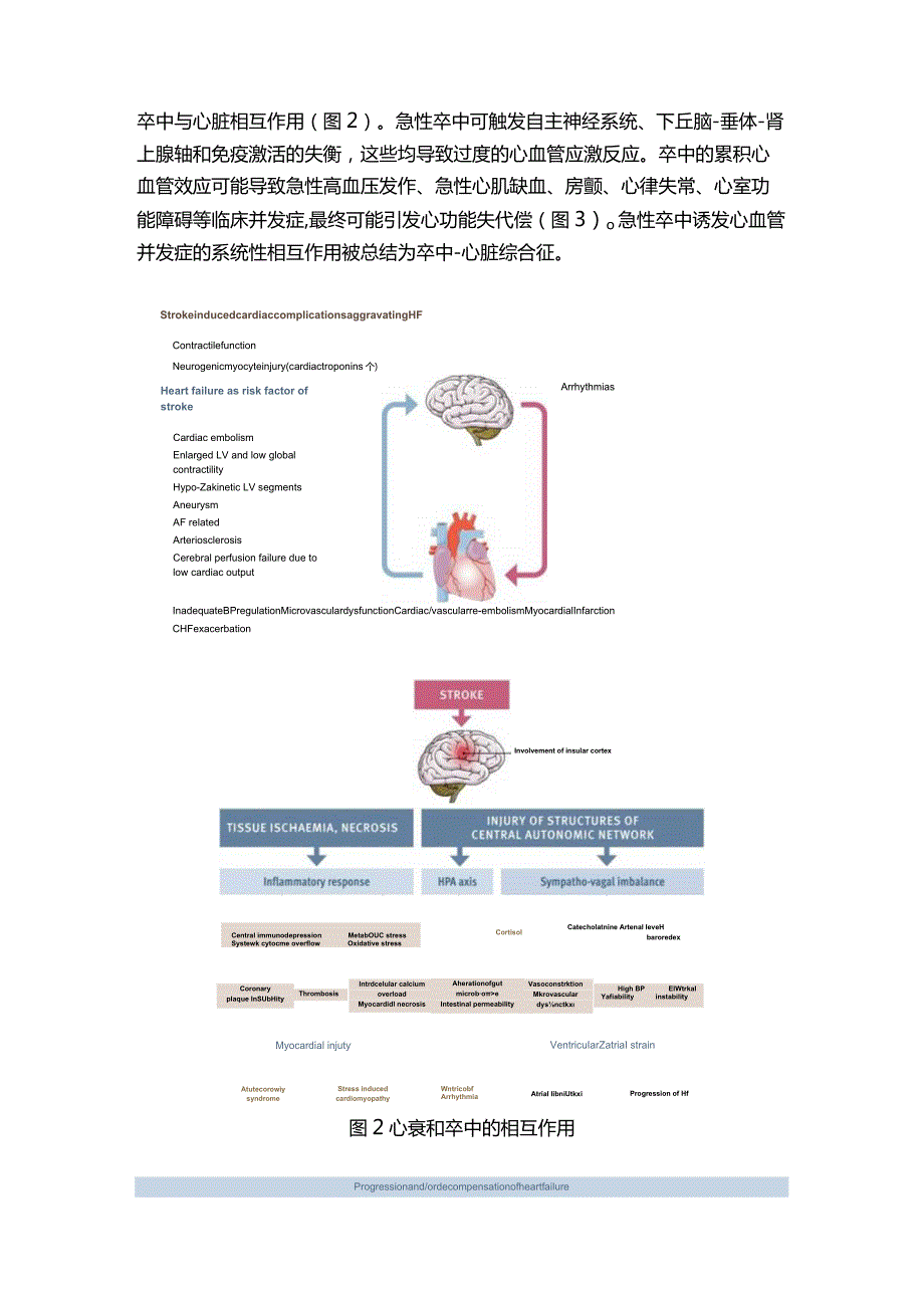 2024心衰合并卒中患者管理.docx_第3页