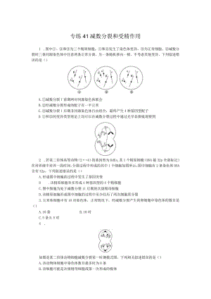 专练41减数分裂和受精作用.docx