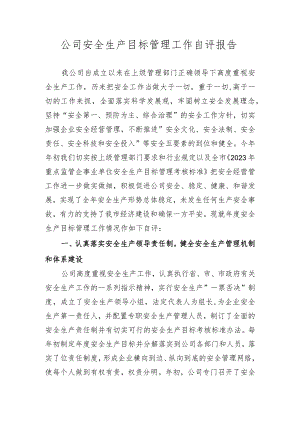 公司安全生产目标管理工作自评报告.docx