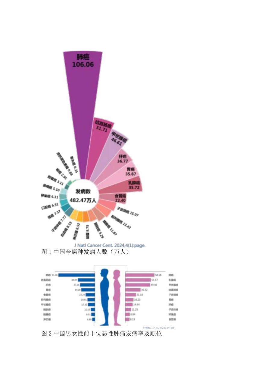 2024年全国癌症报告（完整版）.docx_第2页