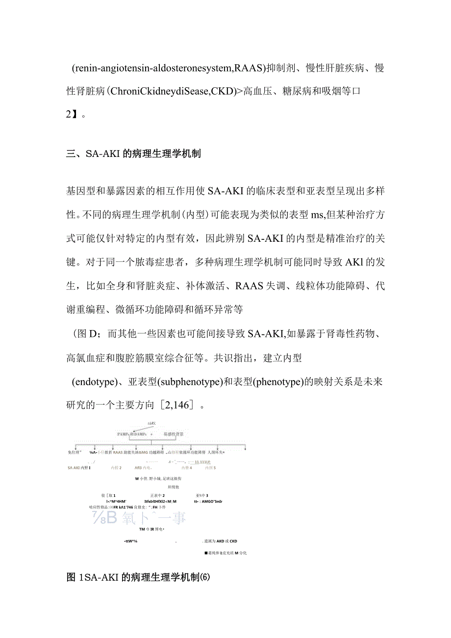 2024《脓毒症相关急性肾损伤》解读.docx_第3页