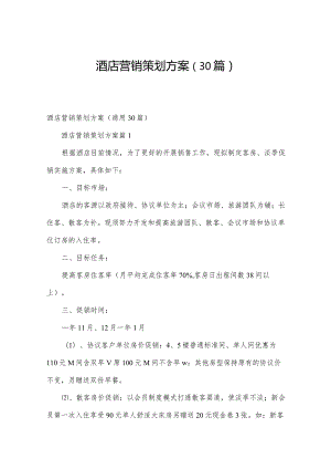 酒店营销策划方案（30篇）.docx