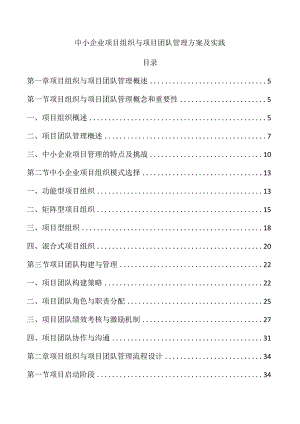 中小企业项目组织与项目团队管理方案及实践.docx