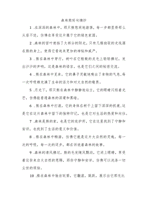 森林熊好句摘抄.docx