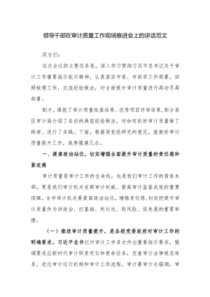 领导干部在审计质量工作现场推进会上的讲话范文.docx