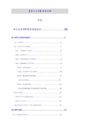 审计大师使用手册.docx