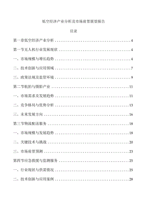 低空经济产业分析及市场前景展望报告.docx