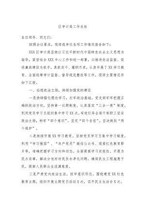 区审计局工作总结.docx