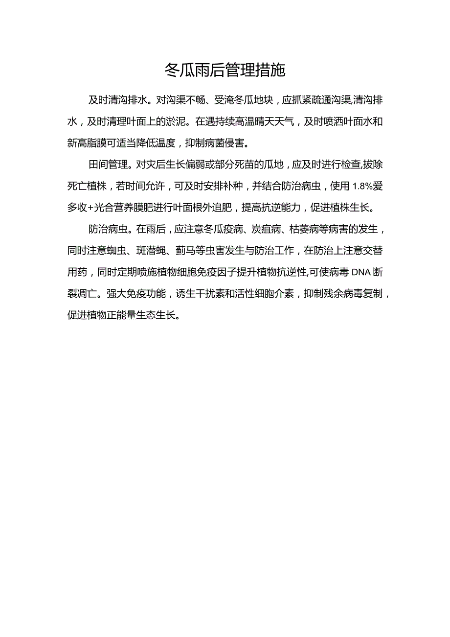 冬瓜雨后管理措施.docx_第1页