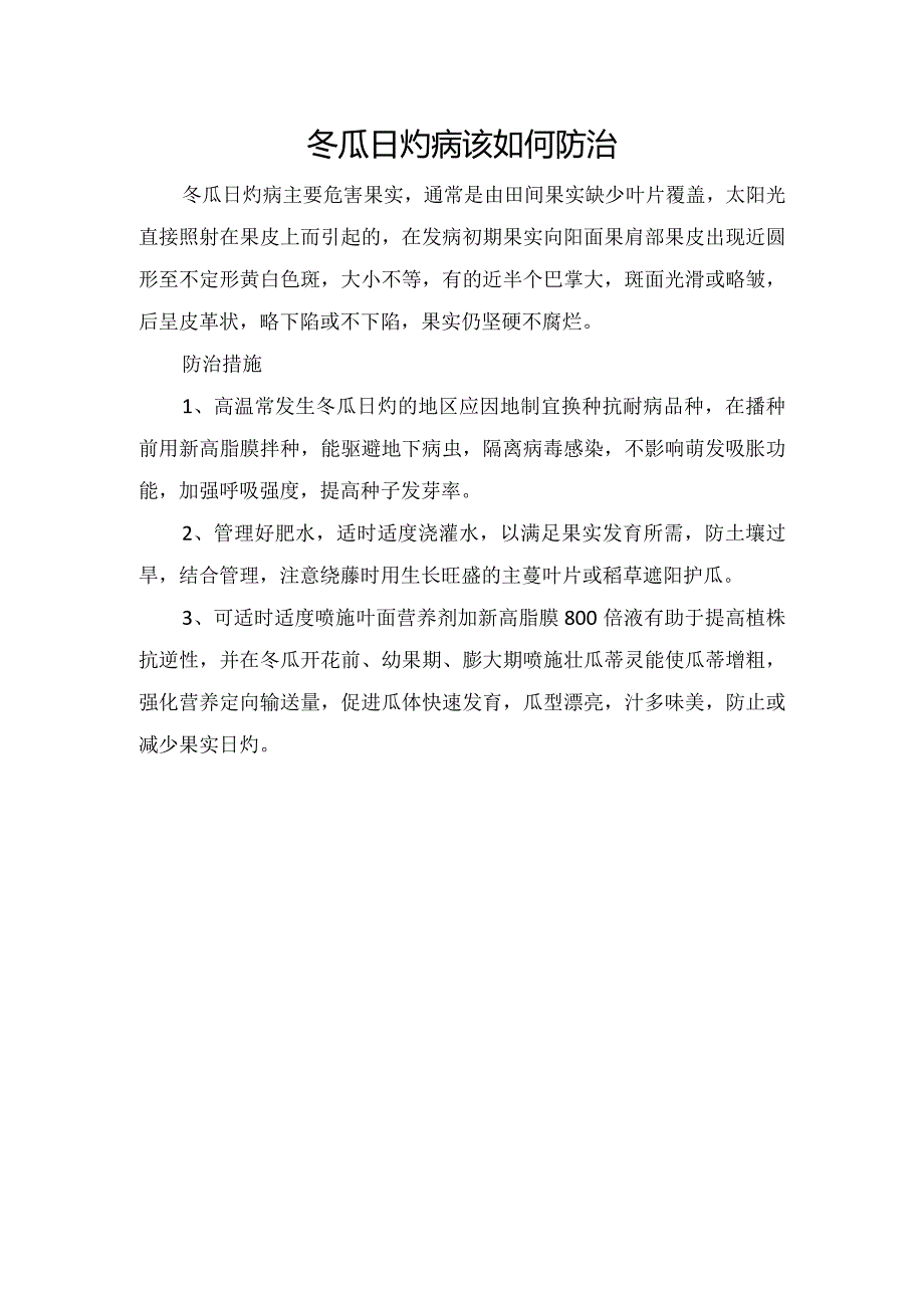 冬瓜日灼病该如何防治.docx_第1页