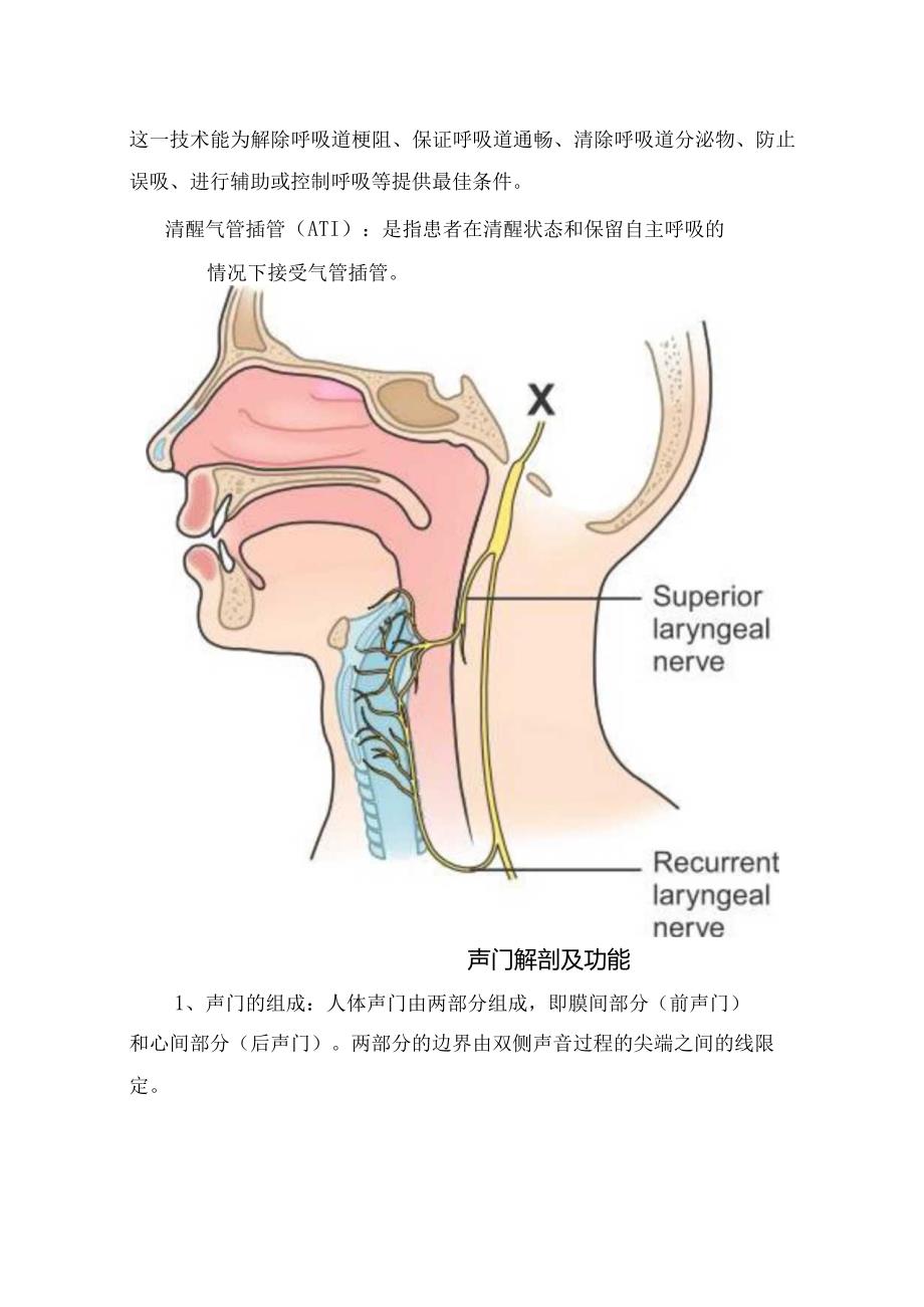 临床清醒患者气管插管定义、声门解剖及功能、气管插管原因、适应症、禁忌症、要领、失败应对措施及特殊患者ATI处理要点.docx_第2页