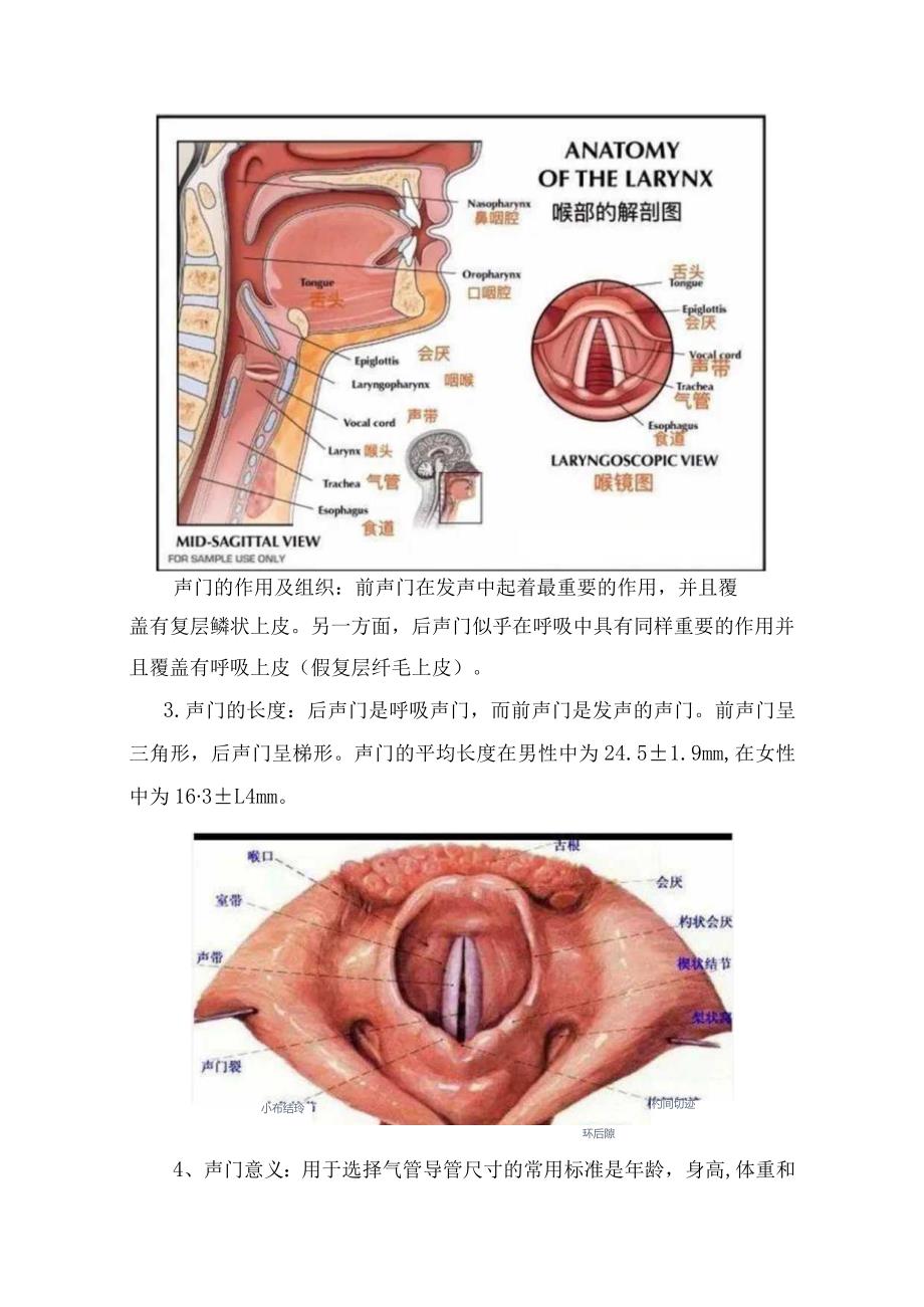 临床清醒患者气管插管定义、声门解剖及功能、气管插管原因、适应症、禁忌症、要领、失败应对措施及特殊患者ATI处理要点.docx_第3页