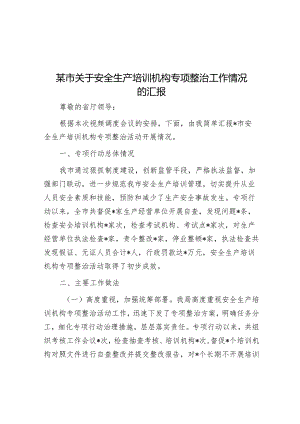 某市关于安全生产培训机构专项整治工作情况的汇报【】.docx