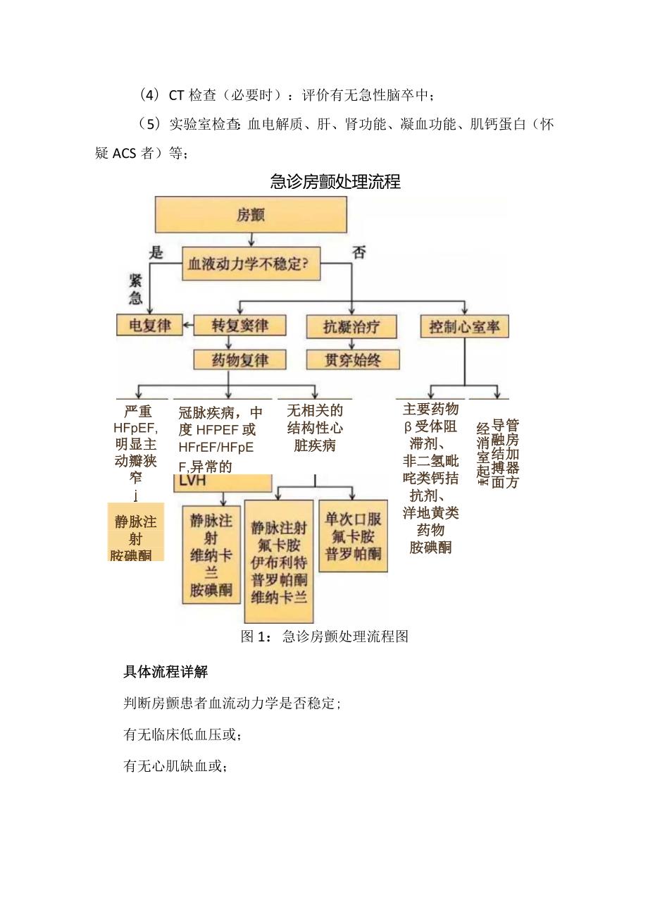 临床急性房颤定义、临床表现、评估及处理流程要点.docx_第2页