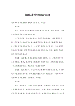 消防演练领导发言稿.docx