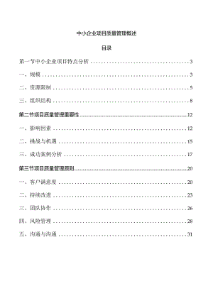 中小企业项目质量管理概述.docx