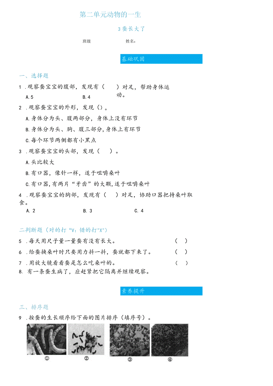 科学_三年级下册_2.3蚕长大了双减分层同步练习（含答案.docx_第1页