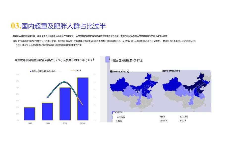 2023减肥药品行业简析报告.docx_第3页