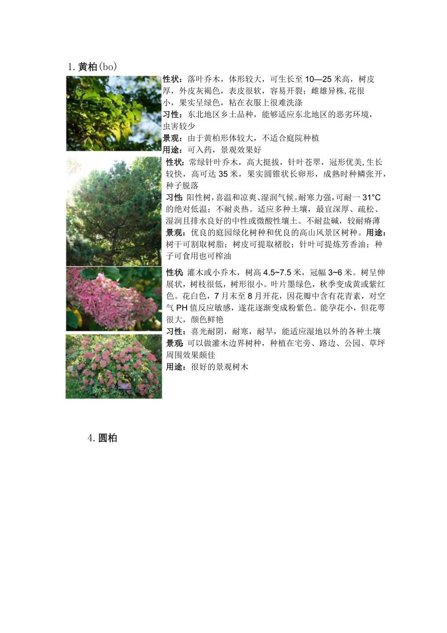 北方园林景观设计认知实习报告.docx_第3页